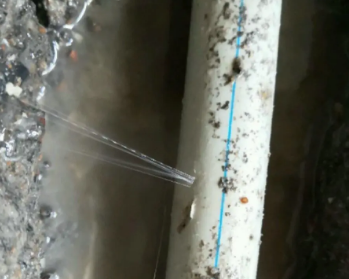 屯溪卫生间测漏水多少钱