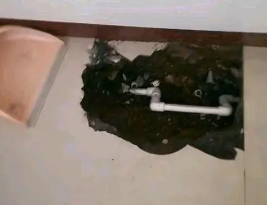 屯溪卫生间测漏水多少钱